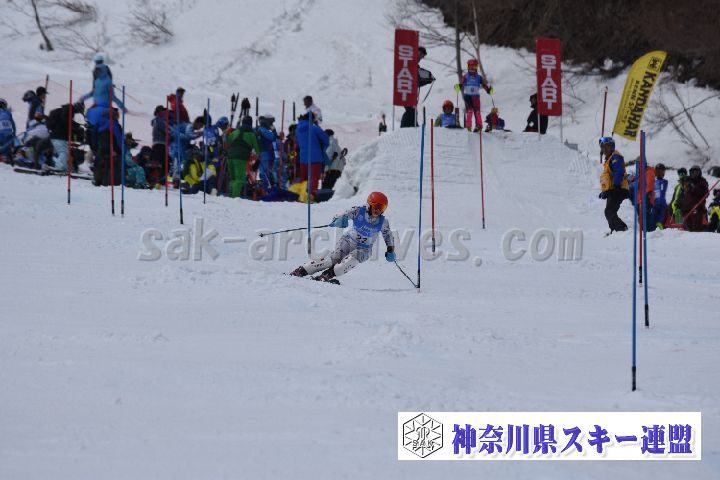 190317_125030_0.jpg