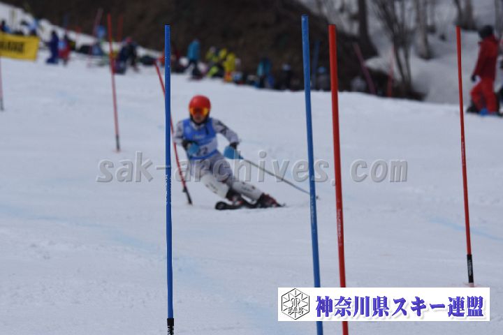 190317_125037_0.jpg
