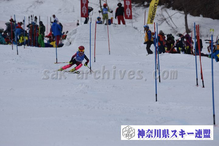 190317_125059_1.jpg