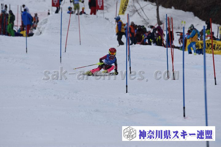 190317_125101_0.jpg