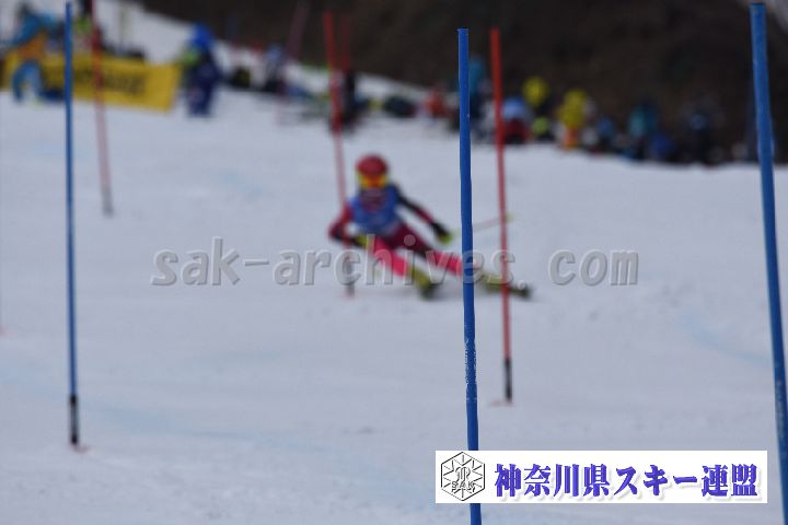 190317_125104_0.jpg
