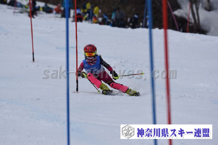 190317_125106_0.jpg