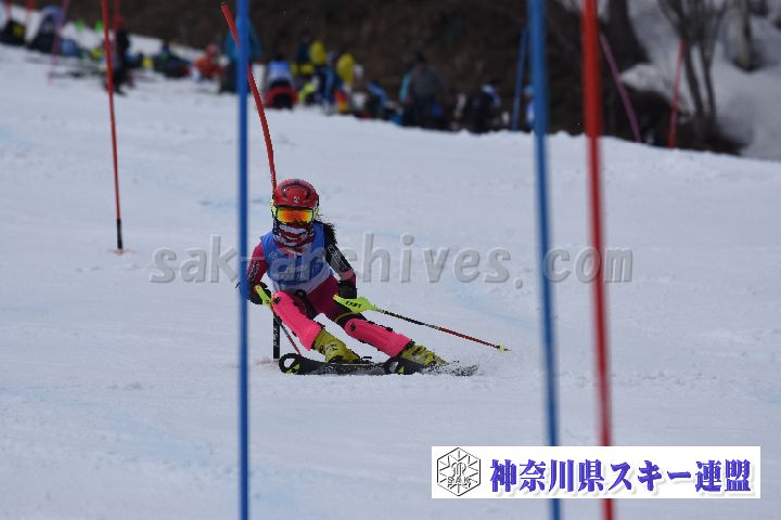 190317_125107_0.jpg