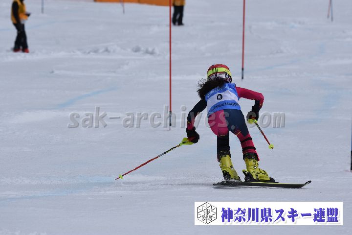 190317_125117_0.jpg