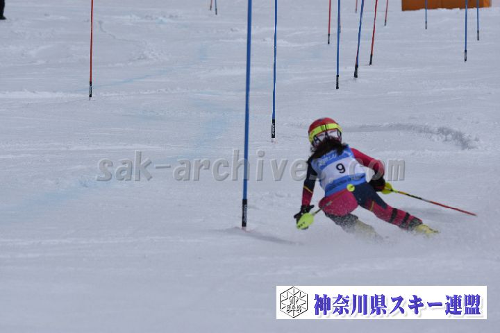 190317_125118_0.jpg