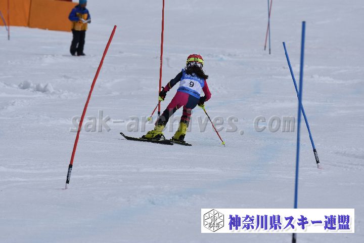 190317_125121_0.jpg