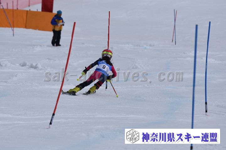 190317_125121_1.jpg