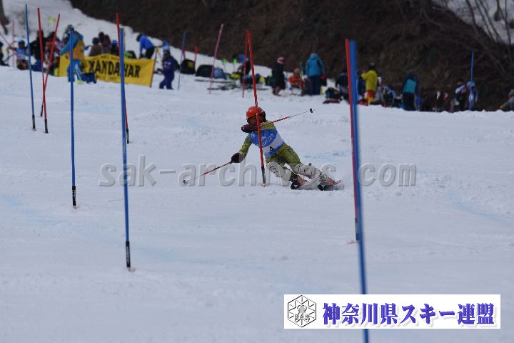 190317_125134_0.jpg