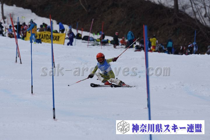 190317_125134_2.jpg