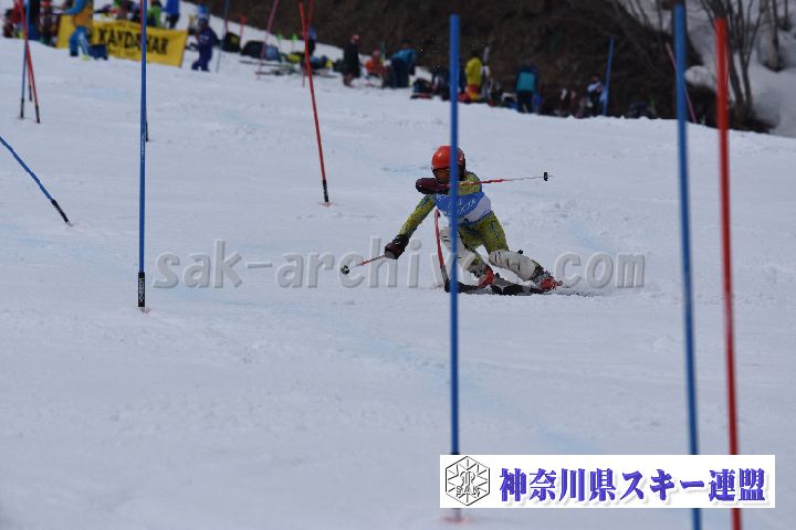 190317_125136_0.jpg