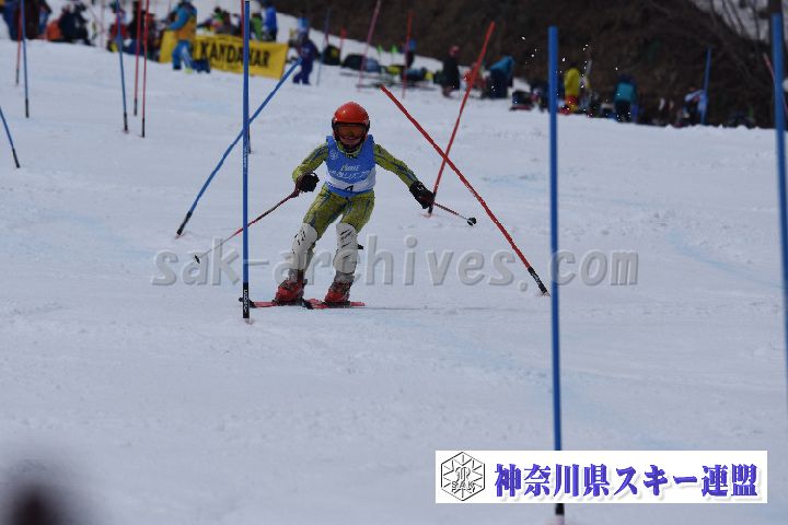 190317_125137_0.jpg