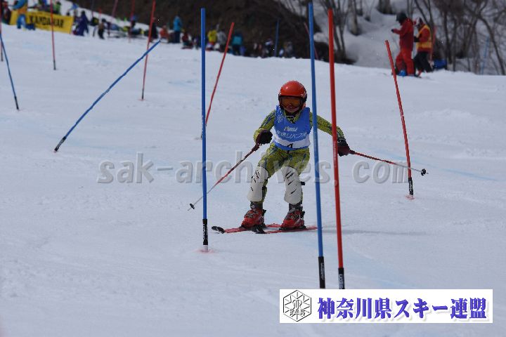190317_125139_1.jpg