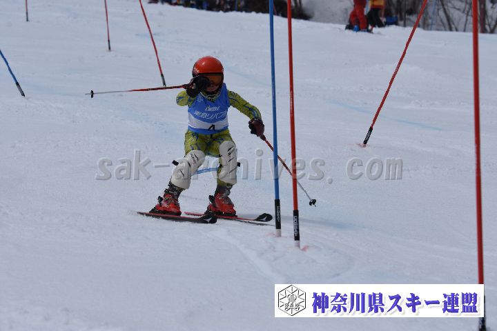 190317_125140_1.jpg