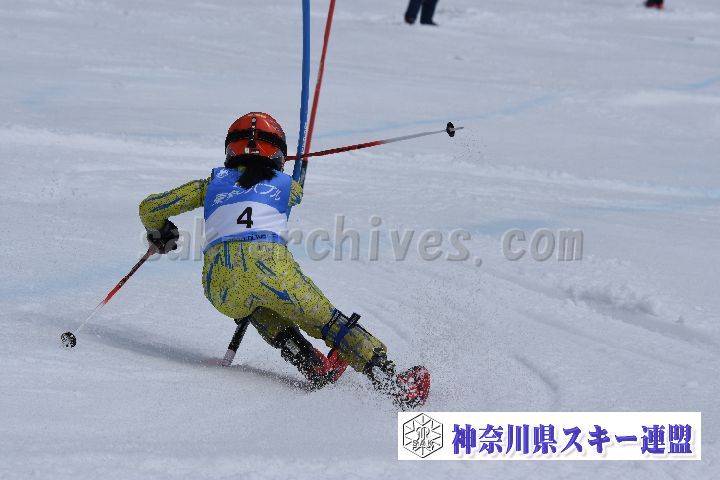190317_125145_0.jpg