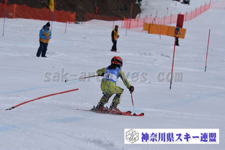 190317_125147_2.jpg
