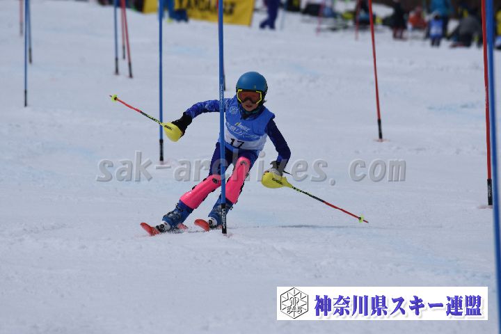 190317_125210_0.jpg