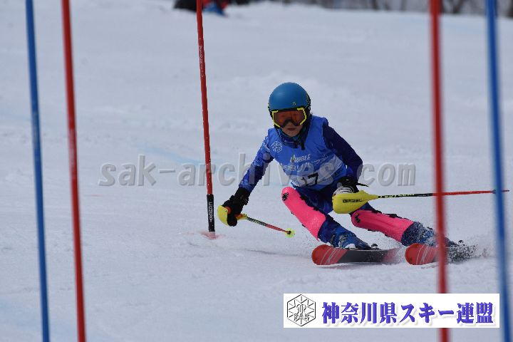 190317_125211_0.jpg