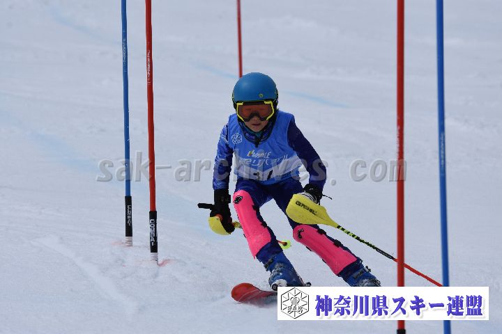 190317_125213_3.jpg