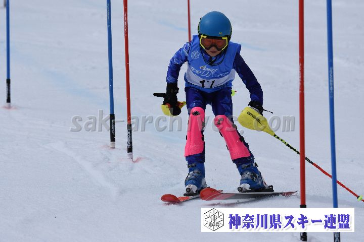 190317_125213_4.jpg
