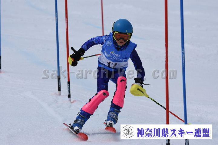 190317_125214_0.jpg