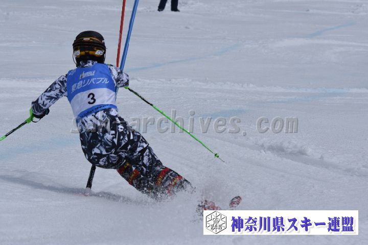 190317_125319_0.jpg