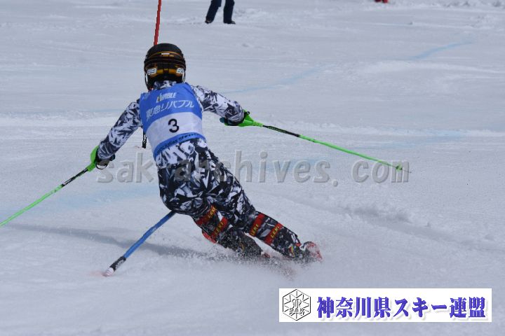 190317_125319_1.jpg