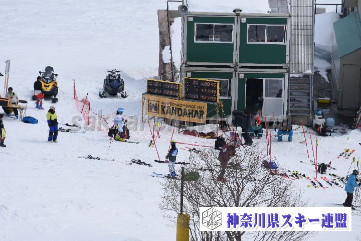 190317_125338_0.jpg