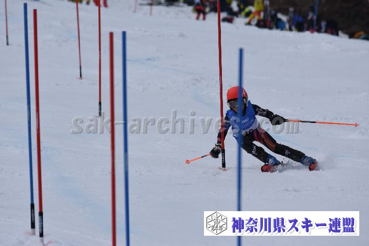 190317_125509_2.jpg