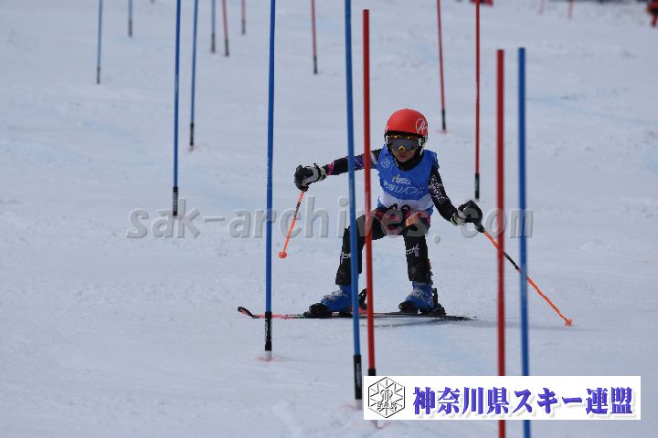 190317_125510_1.jpg