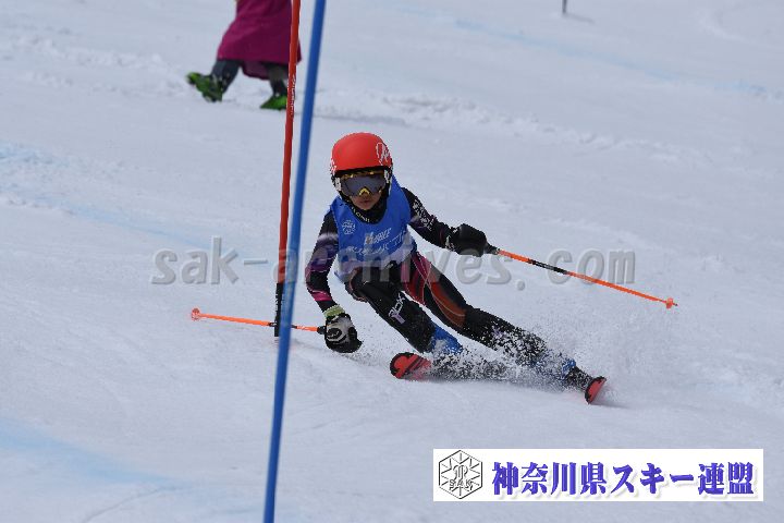 190317_125513_5.jpg