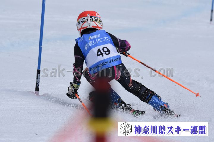 190317_125520_0.jpg