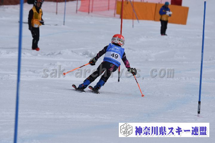 190317_125523_0.jpg