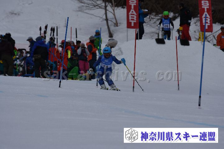 190317_094741_0.jpg