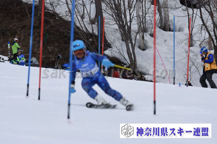 190317_094747_0.jpg