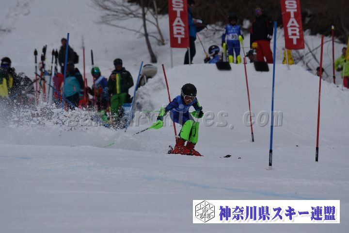 190317_095617_0.jpg