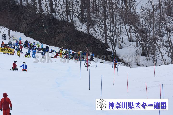 190317_132815_0.jpg