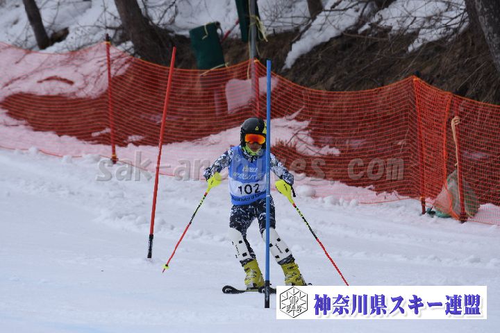 190317_133228_3.jpg