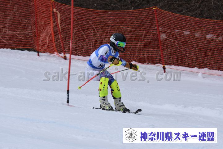 190317_134119_0.jpg