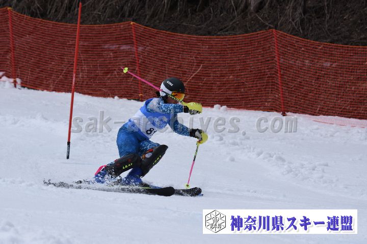 190317_134219_1.jpg