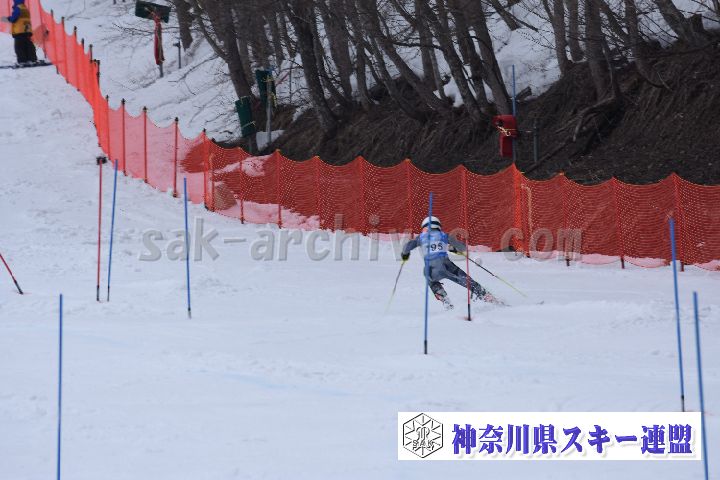 190317_141036_0.jpg