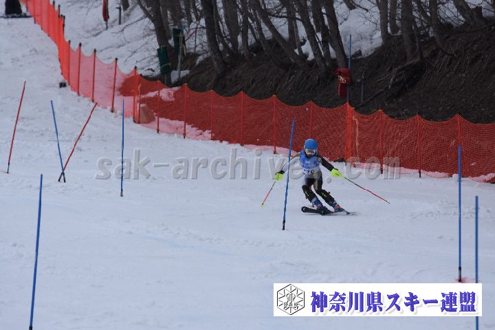 190317_141409_0.jpg