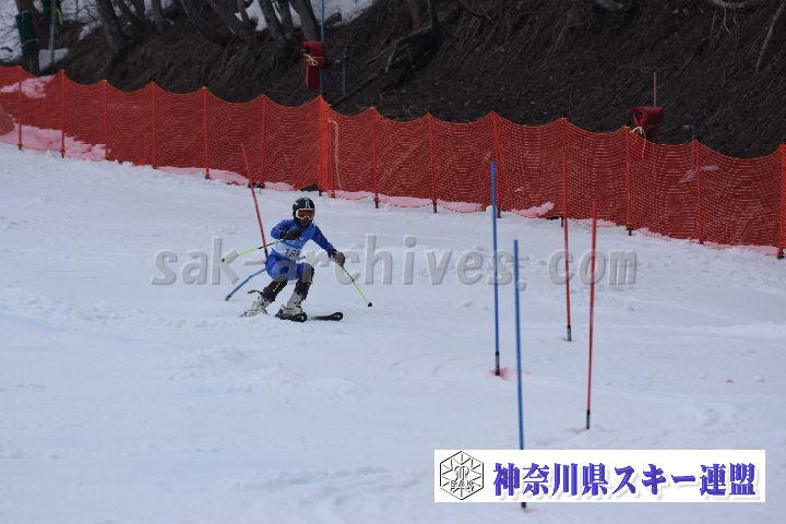 190317_141539_0.jpg