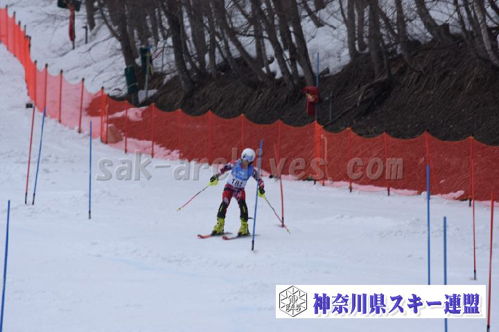 190317_142117_0.jpg