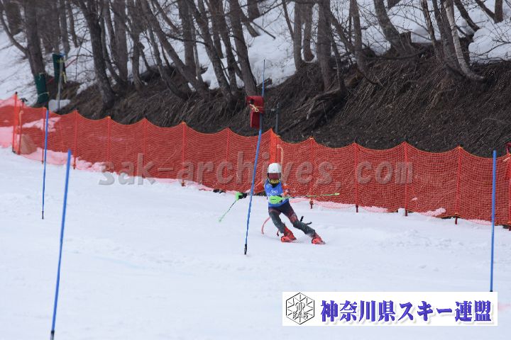 190317_142542_1.jpg