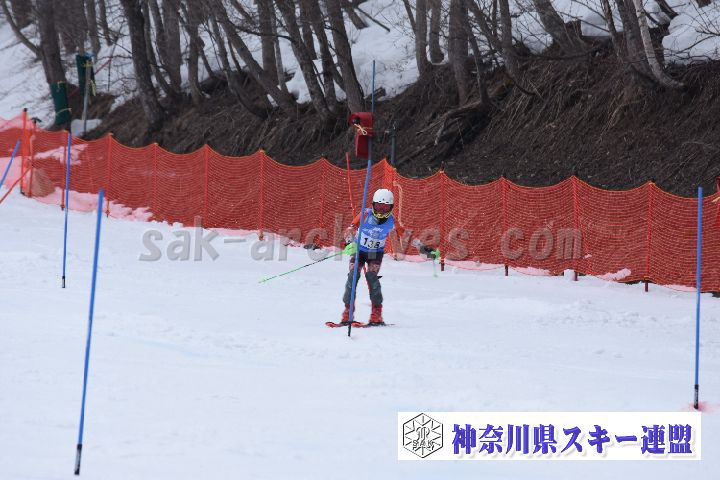 190317_142542_3.jpg
