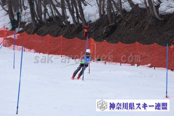 190317_142543_0.jpg