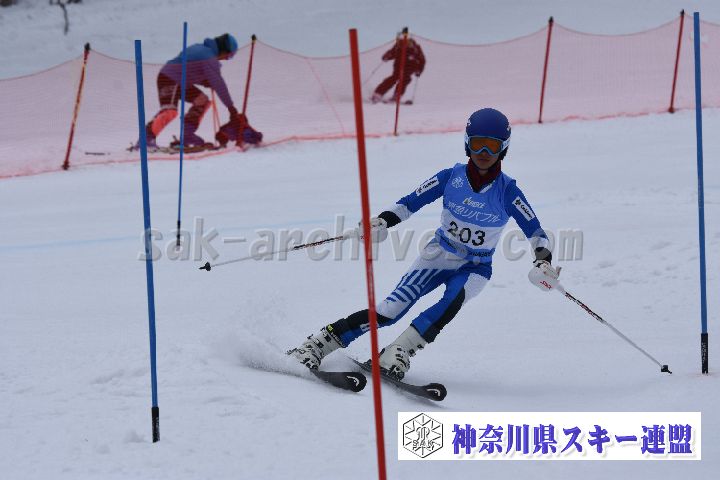 190317_114117_3.jpg