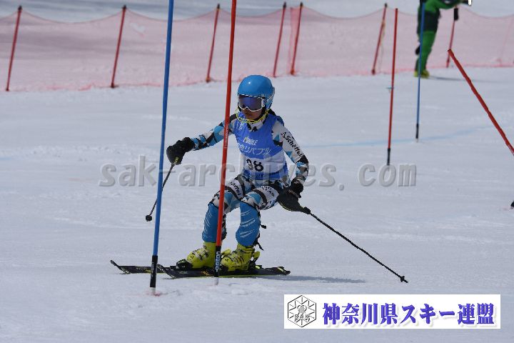 190317_104400_2.jpg