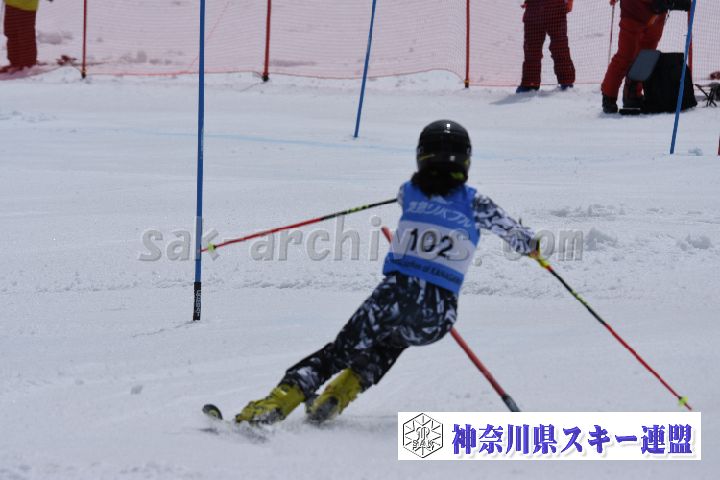 190317_104541_3.jpg