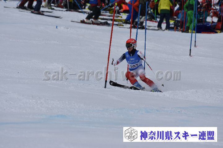 190317_104755_4.jpg